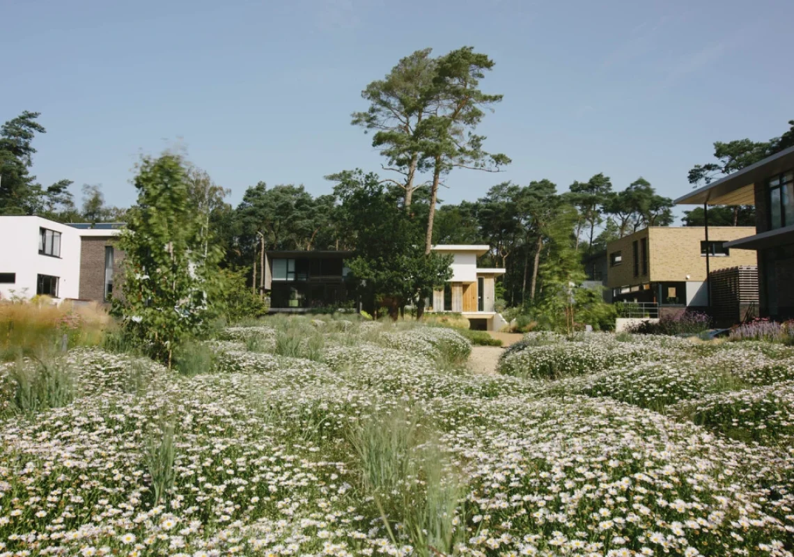 Foto Bos Uyterlinde 3 - voor slider.jpg (1)
